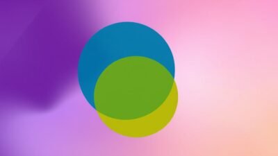 Venn Diagrams to Strengthen Your Logical Evaluations